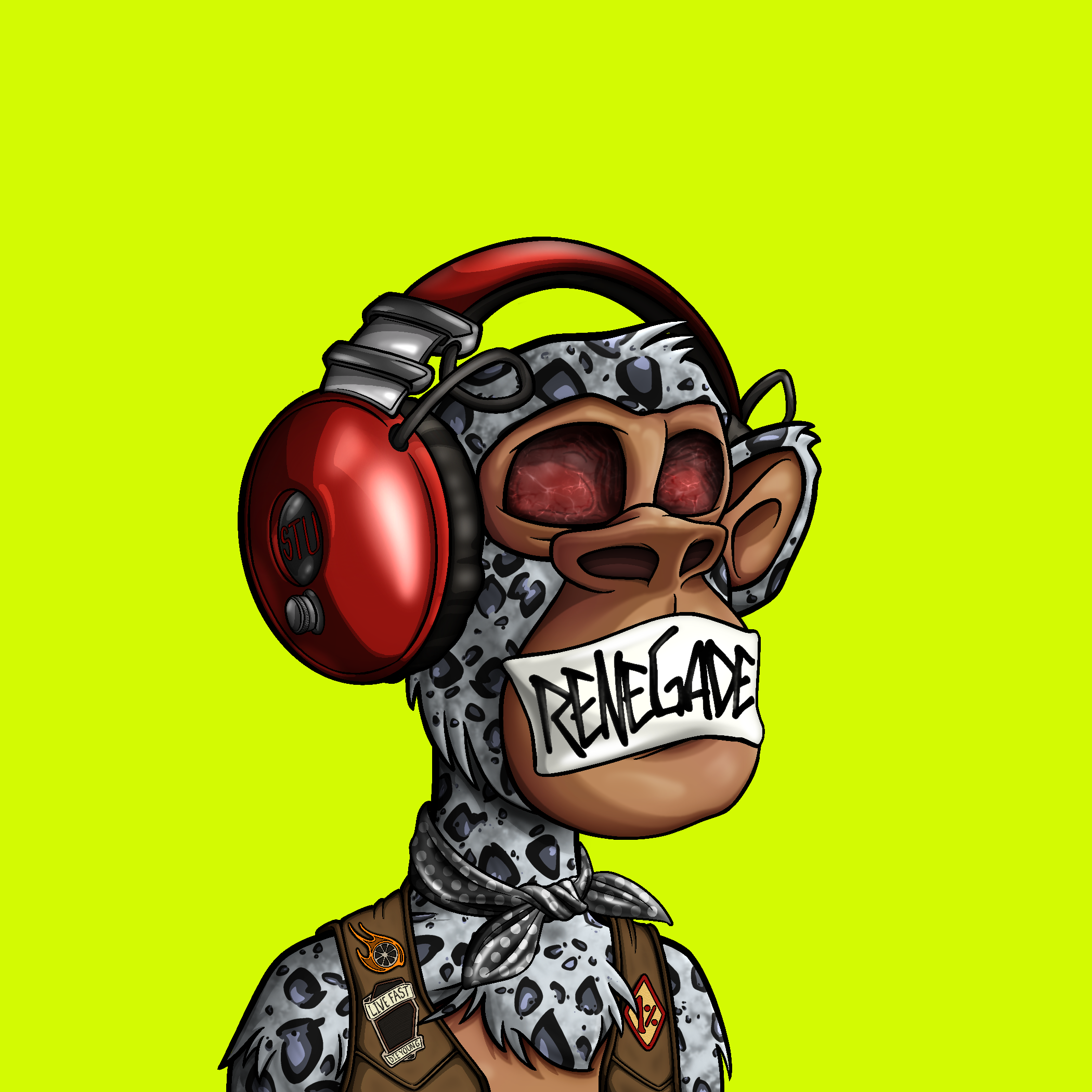 #3068 DJ Taped Renegade
